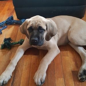 Meet your Posher, Duane